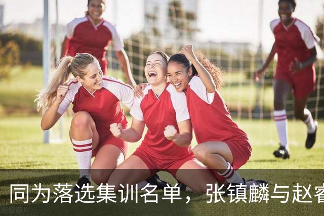 同为落选集训名单，张镇麟与赵睿的境遇差异何在？
